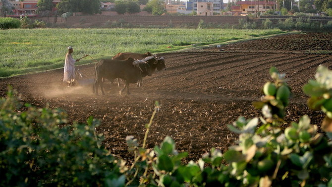Agricultural fields and irrigation